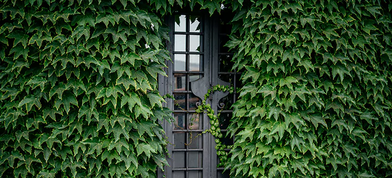 Garden Gate Repair in Menlo Park, CA