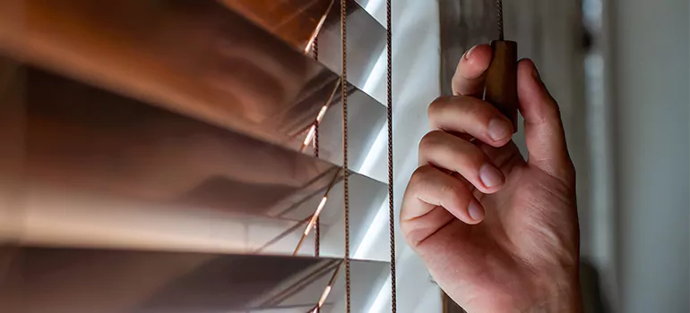 Double Roller Blinds in Menlo Park, CA